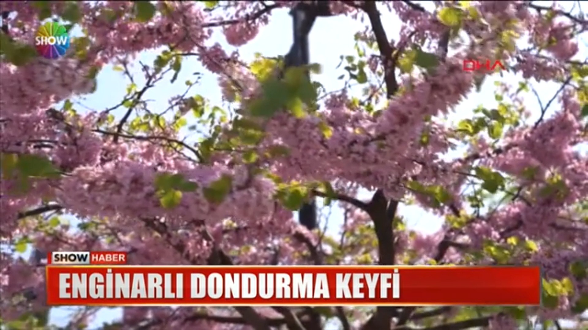 1-showtv.jpg