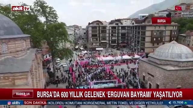 9-akittv.jpg