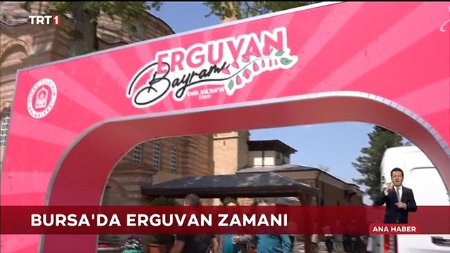 10-trt1.jpg