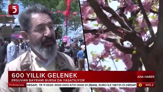 13-kanal5.jpg