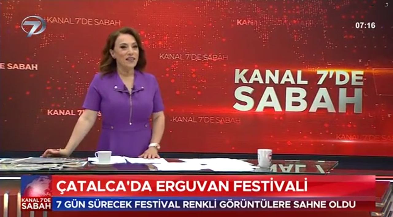 11-kanal_7.jpg