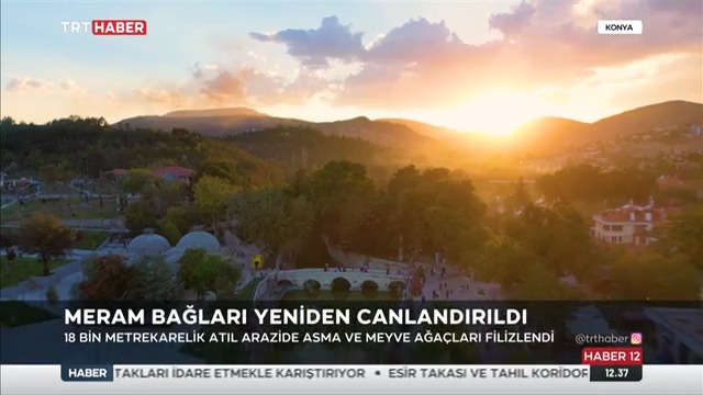 03_trt_haber_canli_baglanti_0