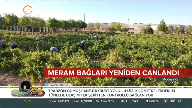 08_kanal_24_0