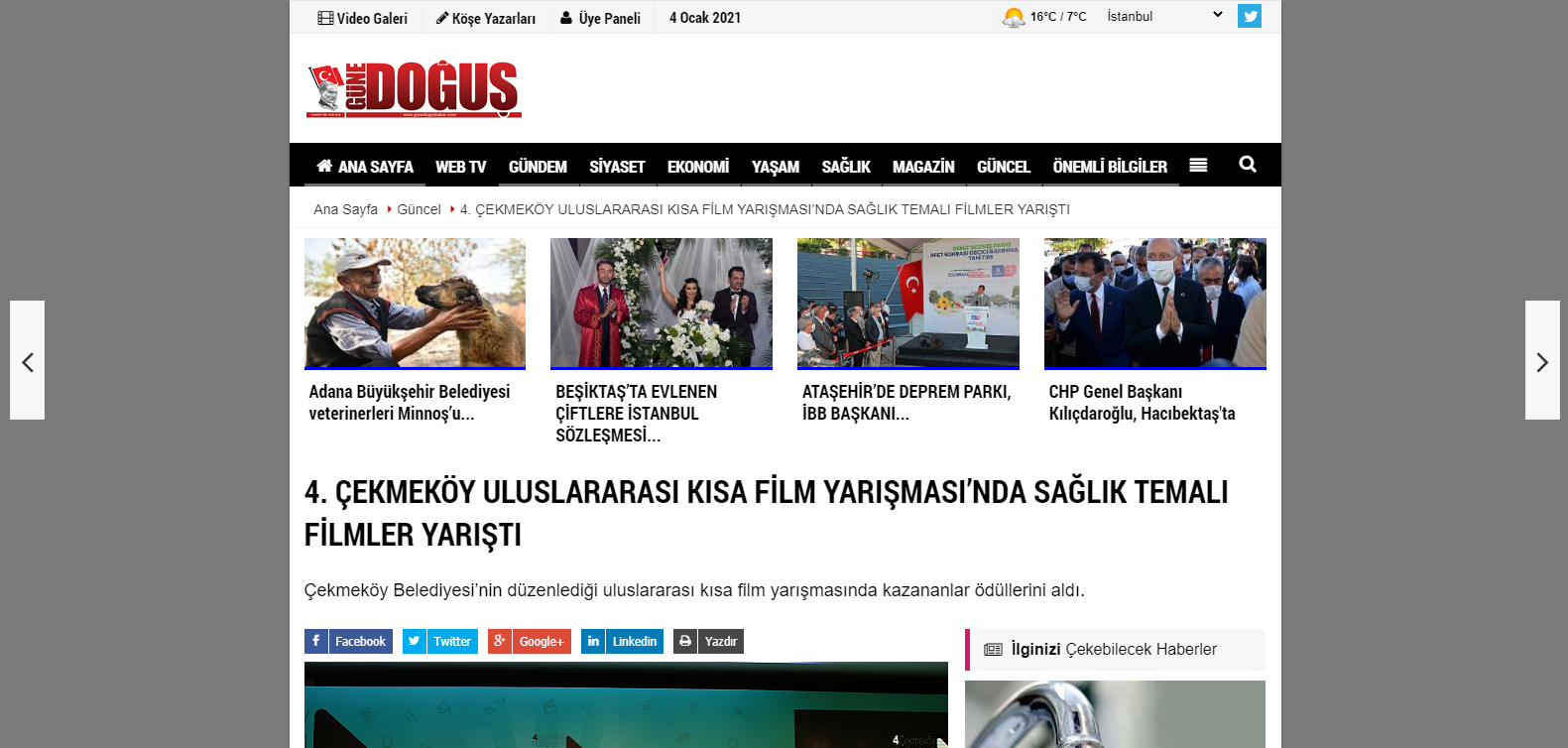 13_gunedogushaber.com.png