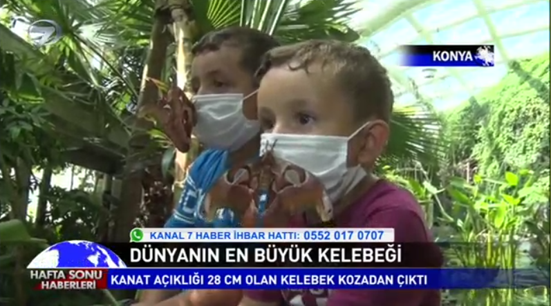 6-kelebek_bahcesi_haberi_kanal_7_anahaber.png