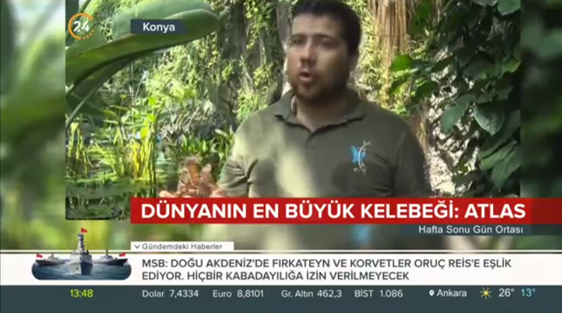 8-kelebek_bahcesi_haberi_kanal_24.png