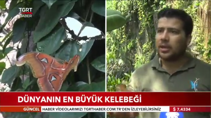 9-kelebek_bahcesi_haberi_tgrt_haber.png